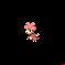 Pokémon #240