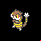 Pokémon #505