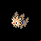 Pokémon #506