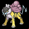 Pokémon #243
