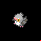 Pokémon #519