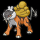 Pokémon #243