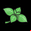 Objet aromate-vert