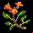 Objet branche-galanoa