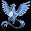 Pokémon #144 3G