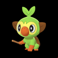 Pokémon #810 8G
