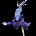 Pokémon #1008 9G