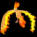 Pokémon #146 GO