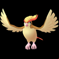 Pokémon #18 GO