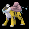 Pokémon #243 GO