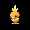 Pokémon #255 GO