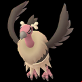 Pokémon #630 GO