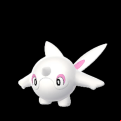 Pokémon #974 GO