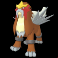 Pokémon #244 MX
