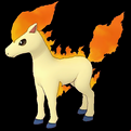 Pokémon #77 MX