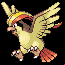 Pokémon #18 RFVF