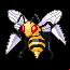 Pokémon #15 RSE