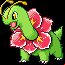 Pokémon #154 RSE