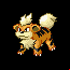 Pokémon #58 RSE