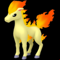 Pokémon #77 defaut